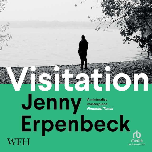 Book cover for Visitation