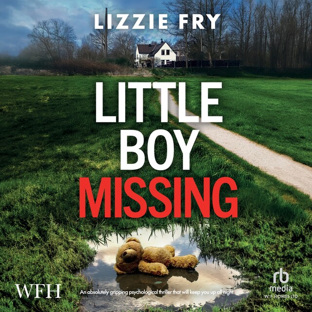 Book cover for Little Boy Missing