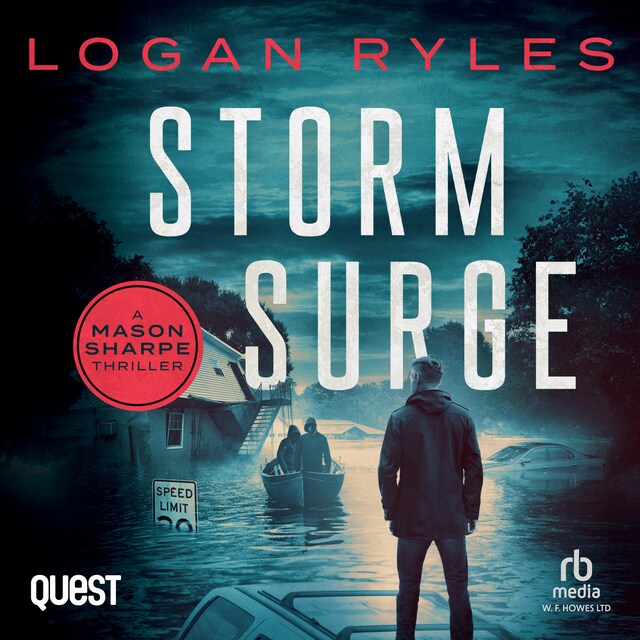 Book cover for Storm Surge