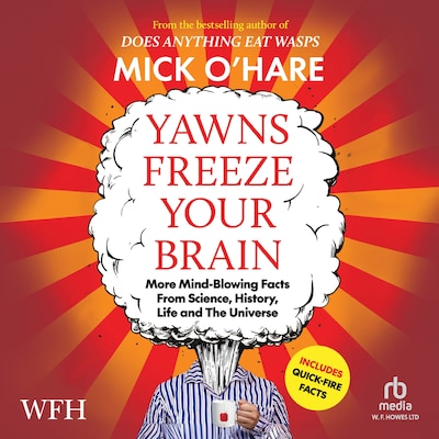 Yawns Freeze Your Brain