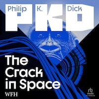 The Crack in Space