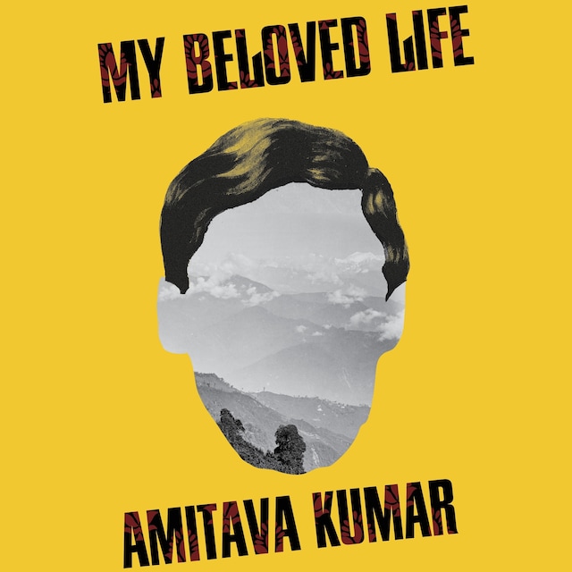 Book cover for My Beloved Life