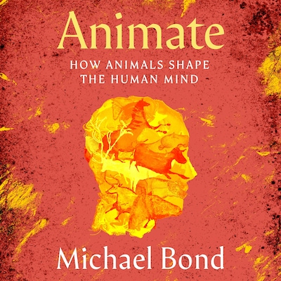 Animate