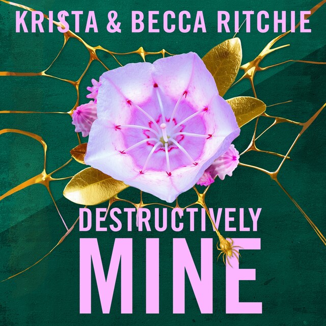 Book cover for Destructively Mine