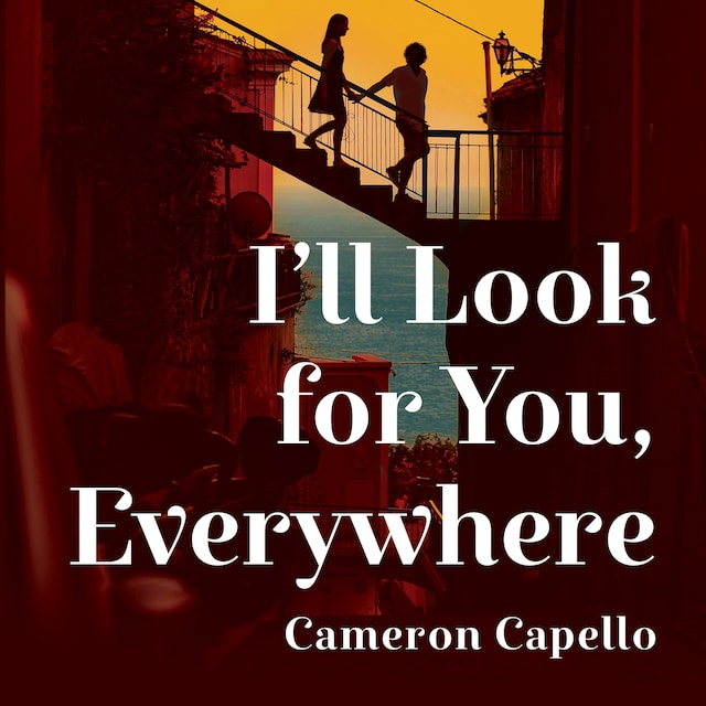 Couverture de livre pour I'll Look for You, Everywhere