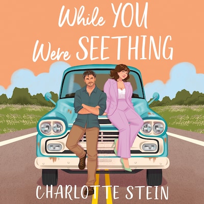While You Were Seething