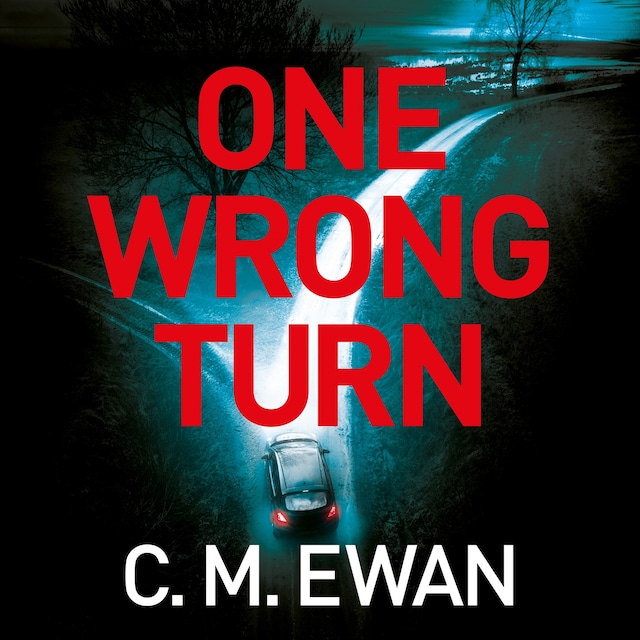 Boekomslag van One Wrong Turn