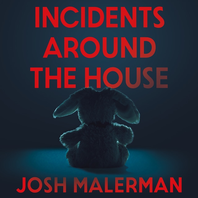 Book cover for Incidents Around the House