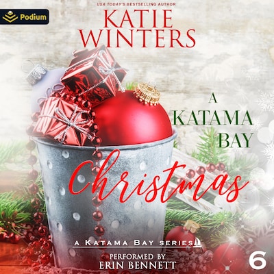 A Katama Bay Christmas