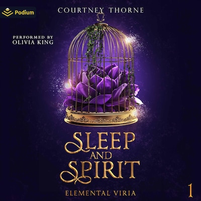 Sleep and Spirit