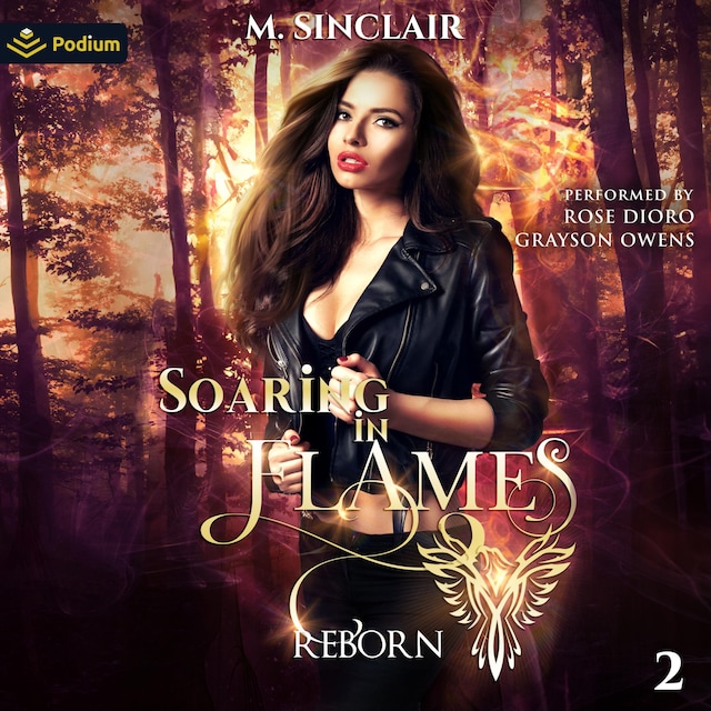 Buchcover für Soaring in Flames