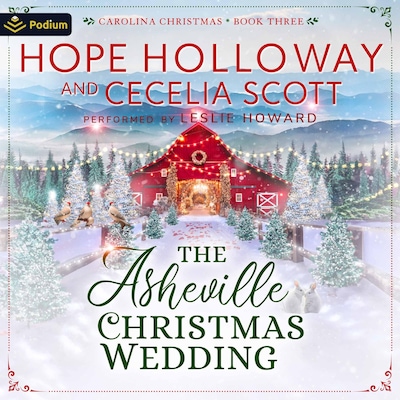 The Asheville Christmas Wedding