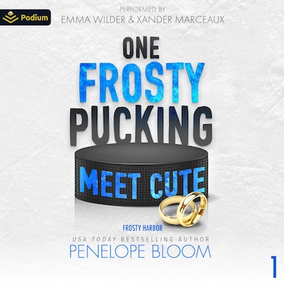 One Frosty Pucking Meet Cute