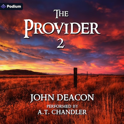 The Provider 2