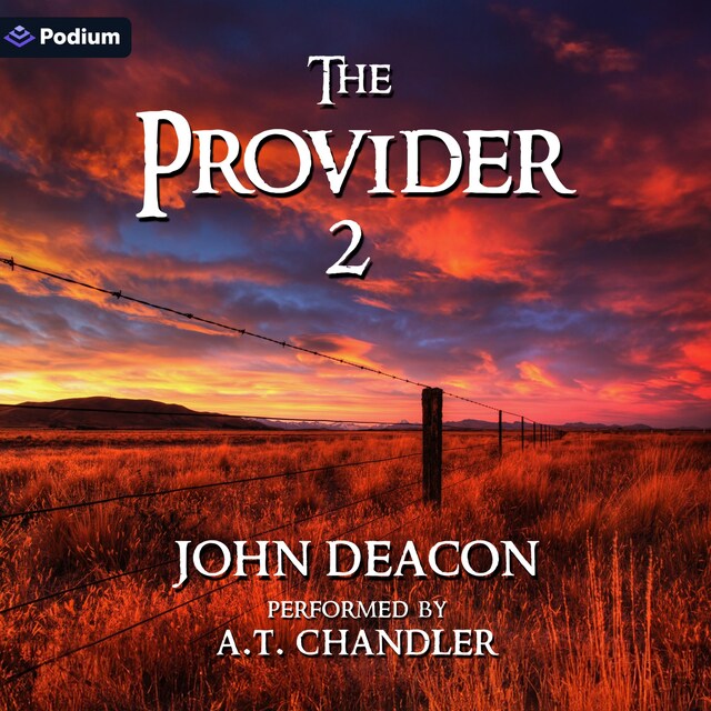 Boekomslag van The Provider 2