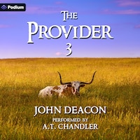 The Provider 3