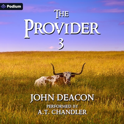 The Provider 3
