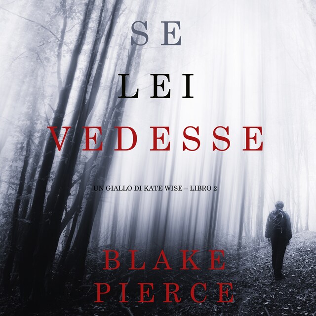 Se lei vedesse (Un giallo di Kate Wise – Libro 2)