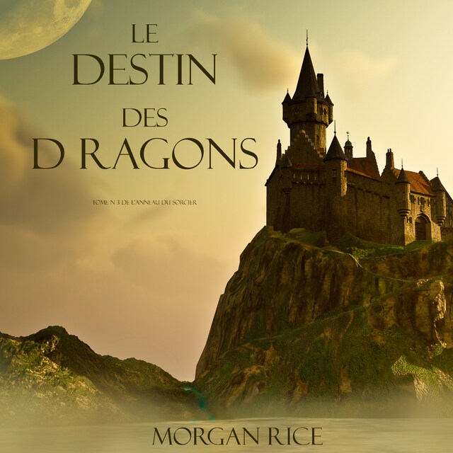 Copertina del libro per Le Destin Des Dragons  (Tome N 3 De L'anneau Du Sorcier)