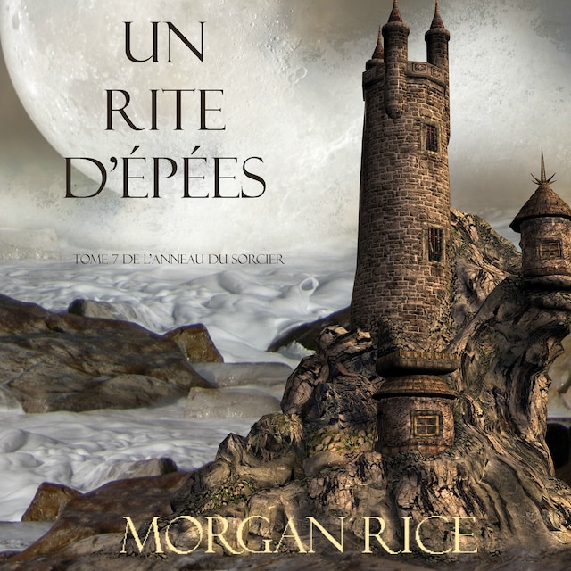 Book cover for Un Rite D’Epées (Tome 7 de L’anneau du Sorcier)
