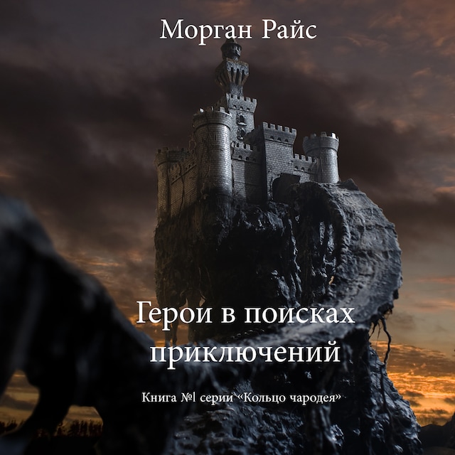 Book cover for Герои в поисках приключений (Книга №1 серии «КОЛЬЦО ЧАРОДЕЯ»)