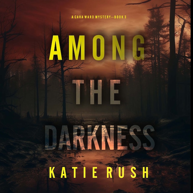 Book cover for Among the Darkness (A Cara Ward FBI Suspense Thriller—Book 3)