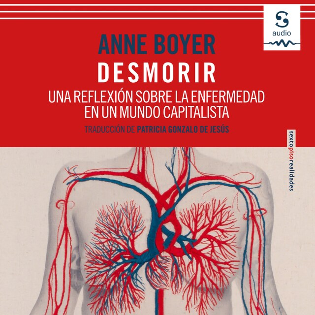 Book cover for Desmorir