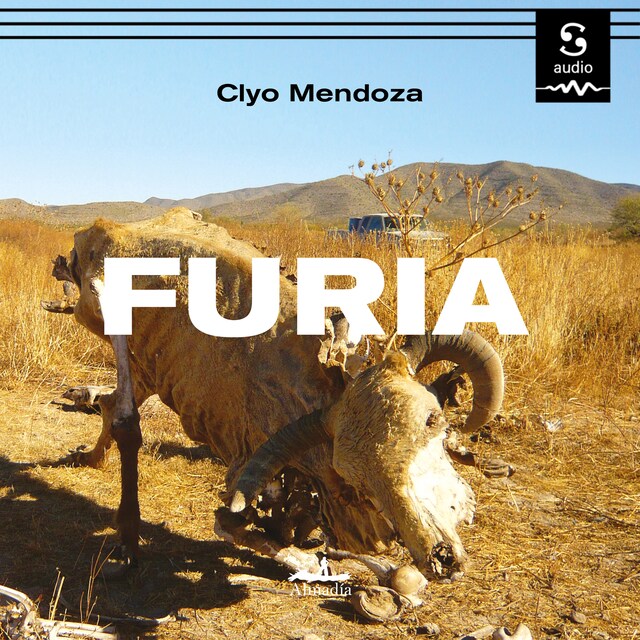 Copertina del libro per Furia