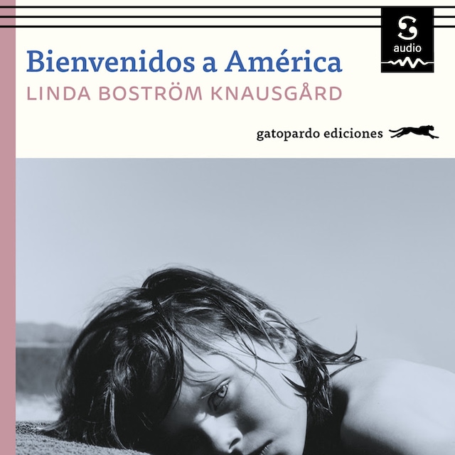 Book cover for Bienvenidos a América