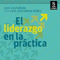 El liderazgo en la práctica