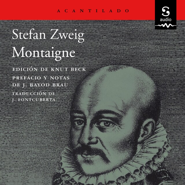 Book cover for Montaigne