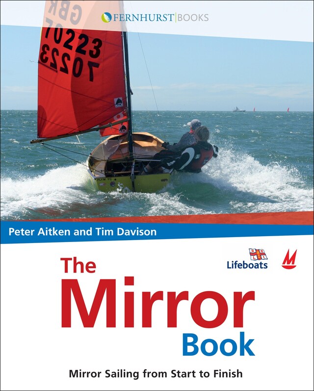 Book cover for The Mirror Book