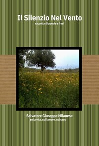Il Silenzio nel Vento