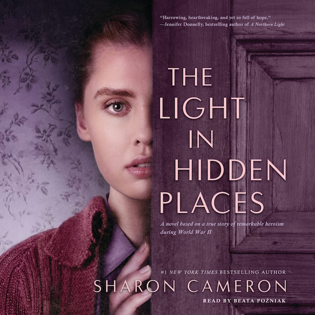 Book cover for Light in Hidden Places (Unabridged)