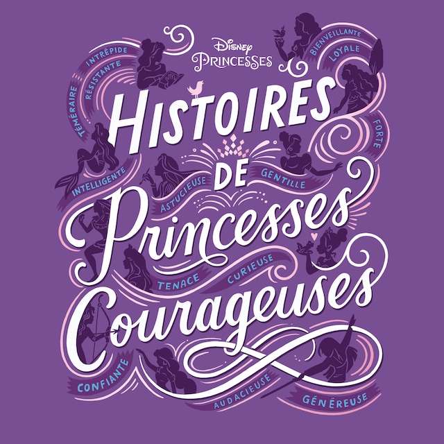 Book cover for Histoires de princesses Courageuses