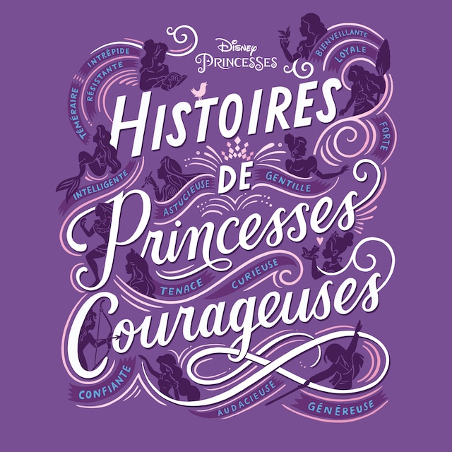 Book cover for Histoires de princesses Courageuses : Disney