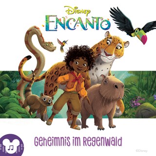 Geheimnis im Regenwald als Hörbuch