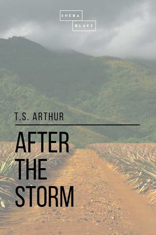Boekomslag van After the Storm