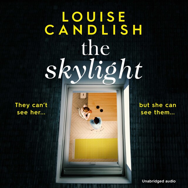 Book cover for The Skylight