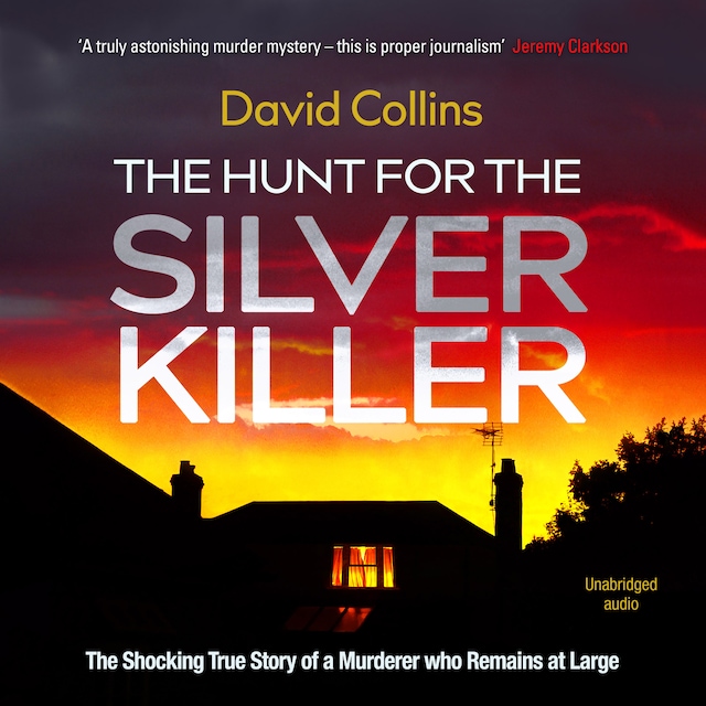 Book cover for The Hunt for the Silver Killer