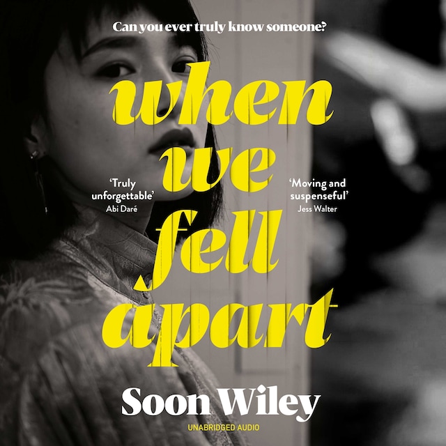 Book cover for When We Fell Apart