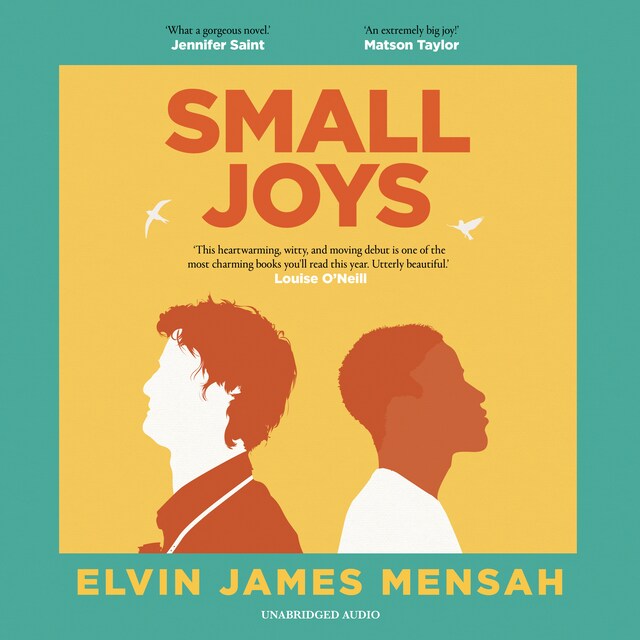Book cover for Small Joys