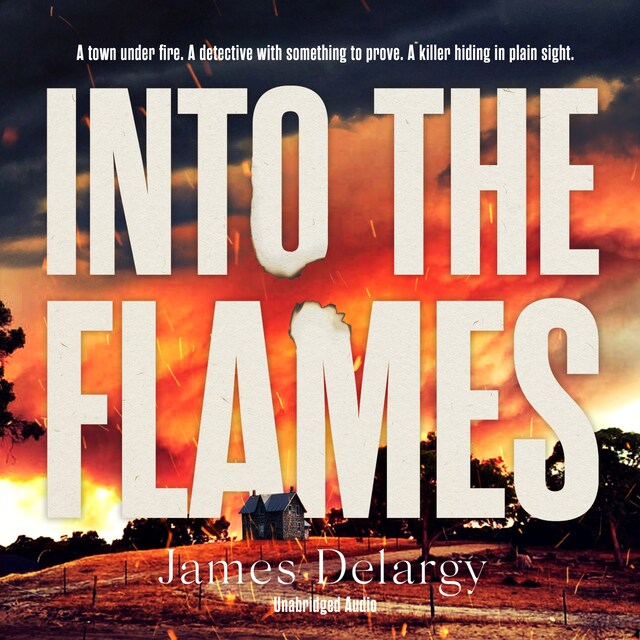 Book cover for Into the Flames