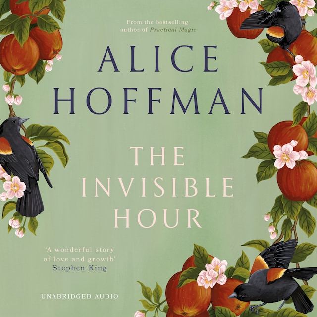 Book cover for The Invisible Hour