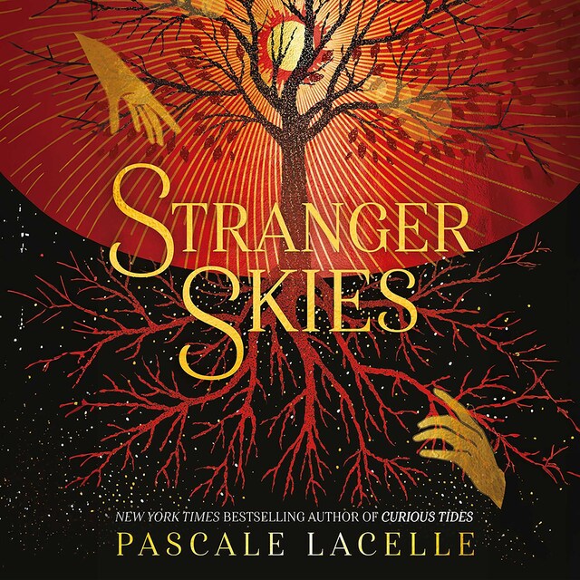 Kirjankansi teokselle Stranger Skies