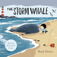 The Storm Whale