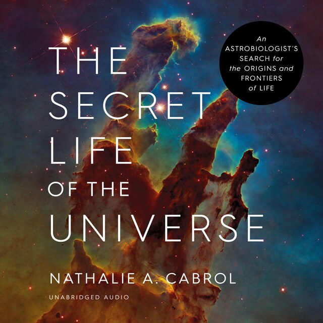 Book cover for The Secret Life of the Universe