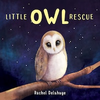Little Owl Rescue