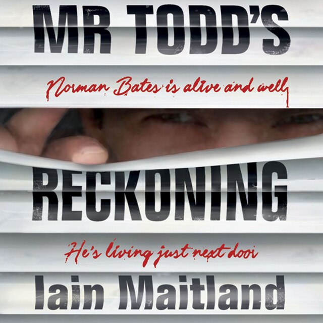 Book cover for Mr Todd's Reckoning