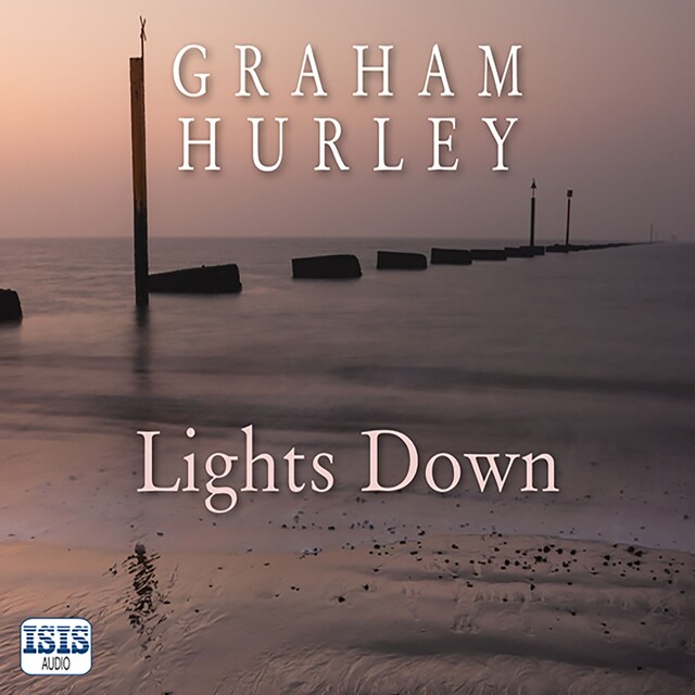 Book cover for Lights Down